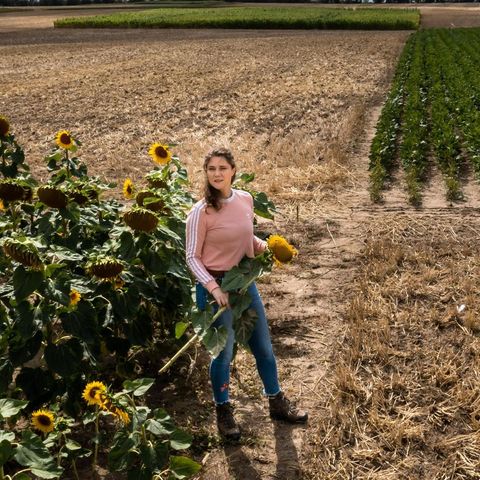 Kathrin Grahmann in einem Sonnenblumenfeld
