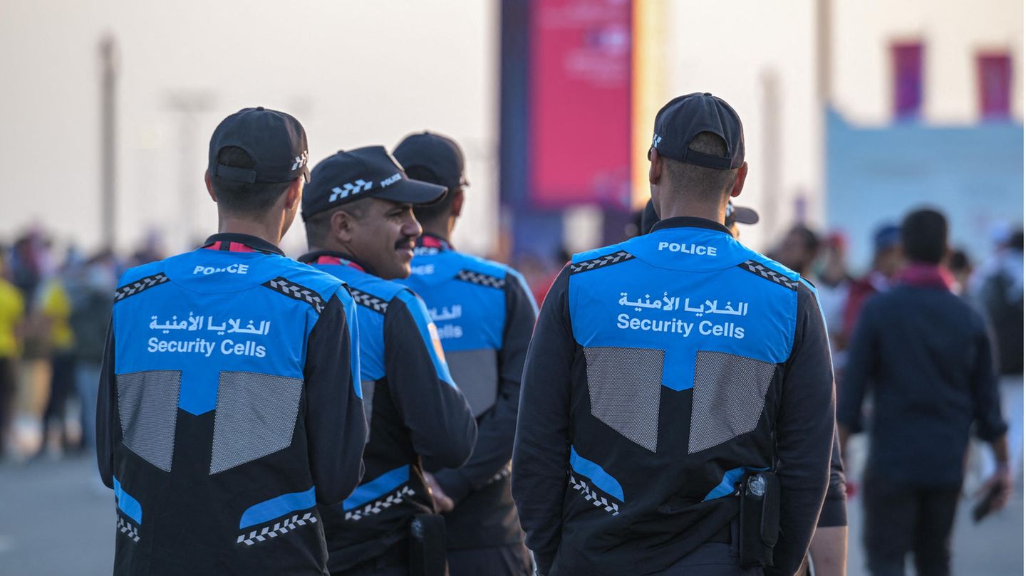 security forces in Qatar