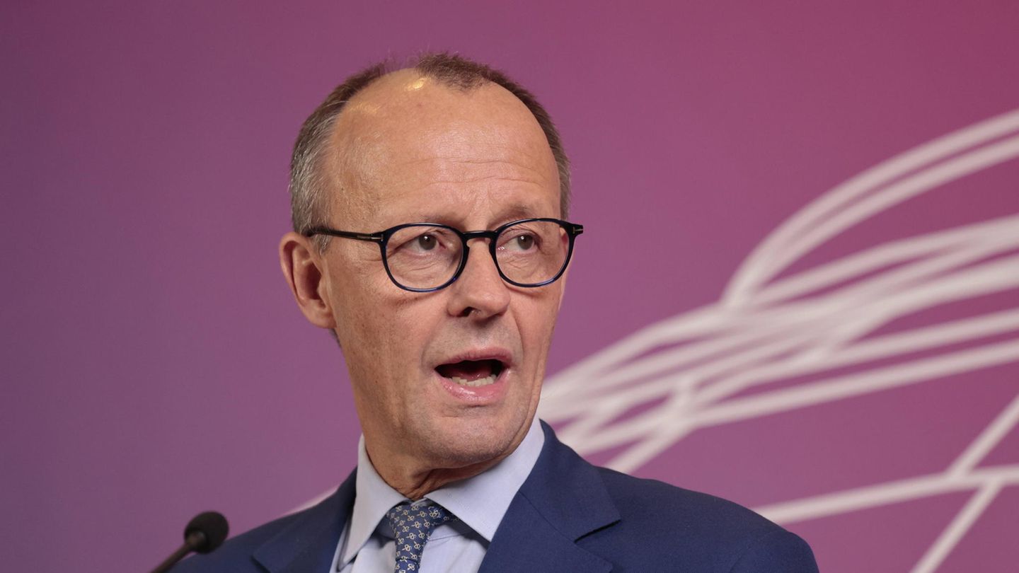 Friedrich Merz zum Bürgergeld