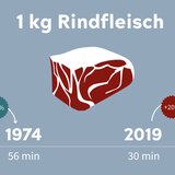 Wie lange muss ich arbeiten für..?