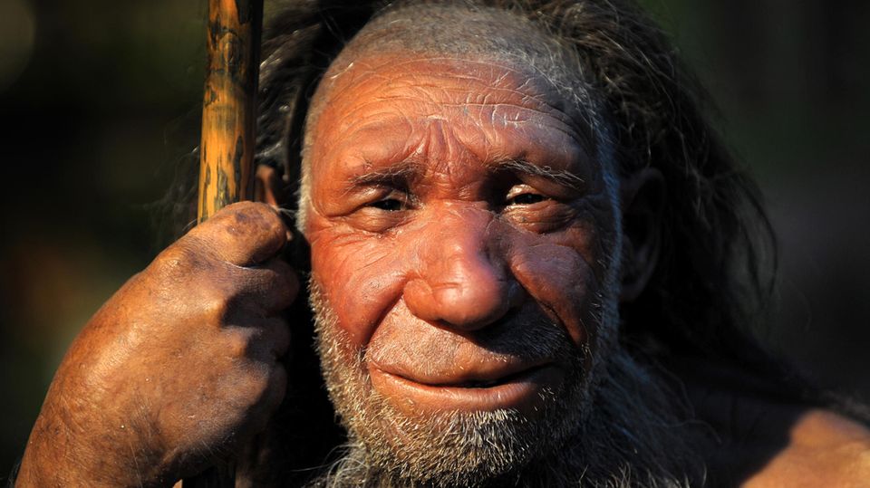Die Nachbildung eines Neandertalers in einem Museum