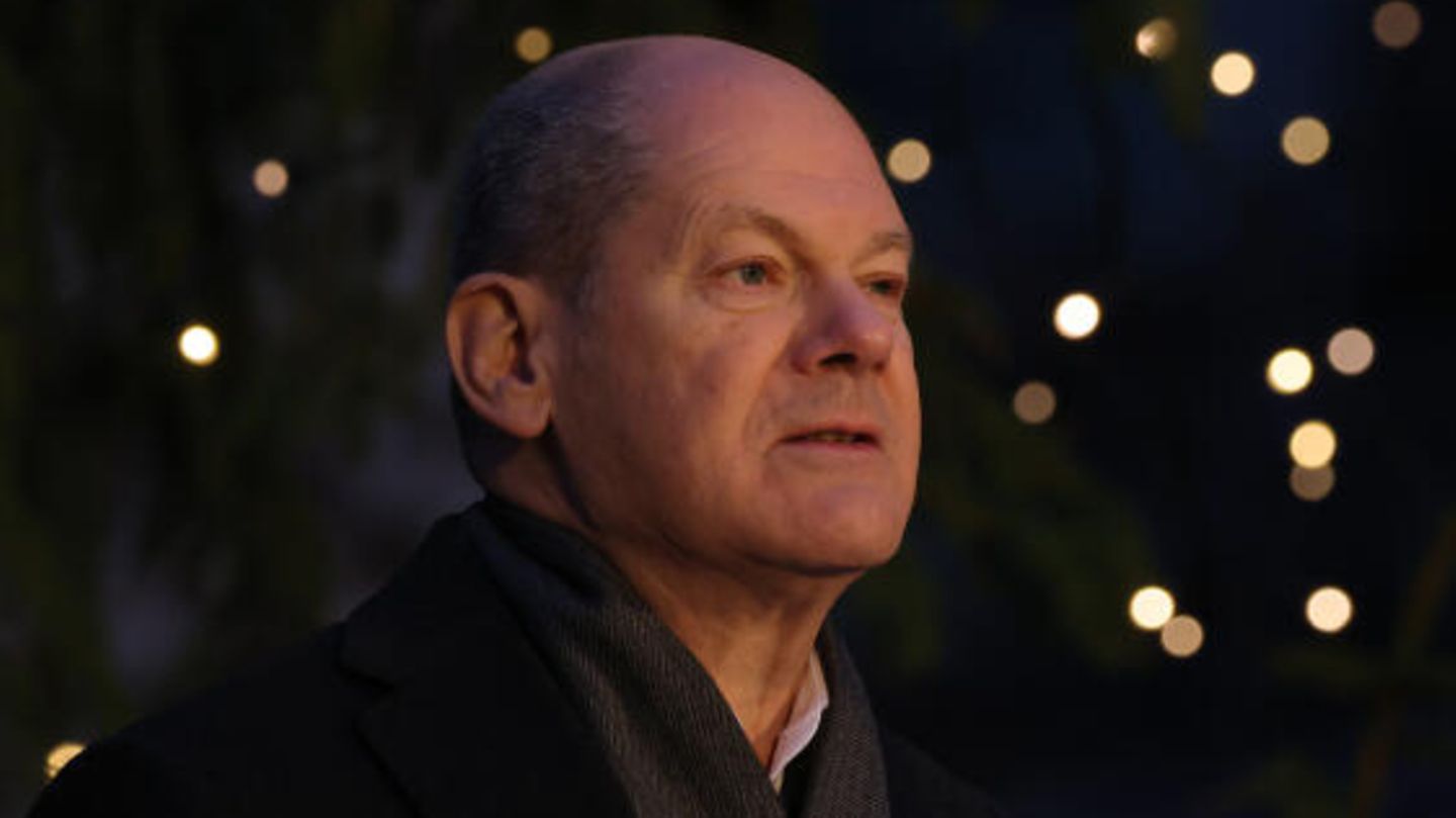First Advent: Olaf Scholz gets a Christmas tree (video)