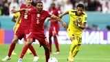 Na gut, niemand hatte erwartet, dass das Team des WM-Gastgebers aus Katar Bäume ausreißen würde. Aber die lange Vorbereitung hatte zumindest die Vermutung genährt, dass sich die Mannschaft halbwegs wettbewerbsfähig präsentieren würde. Leider ein Trugschluss, den auch das Publikum nicht ignorieren mochte. Ein Großteil der Ränge während des Eröffnungsspiels gegen Ecuador leerte sich bereits Mitte der 2. Halbzeit