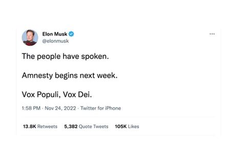 Video: Musk will Generalamnestie bei Twitter