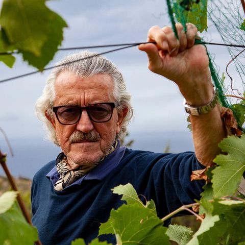 Dieter Meier im Weinberg
