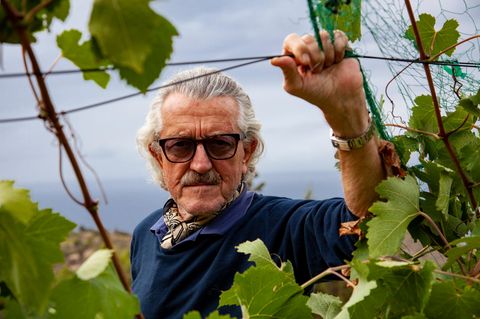 Dieter Meier im Weinberg