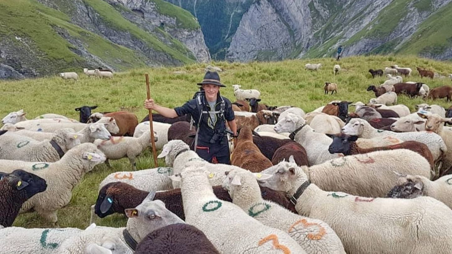 Allein unter Schafen: Moritz Florian als Hirte in den Schweizer Alpen