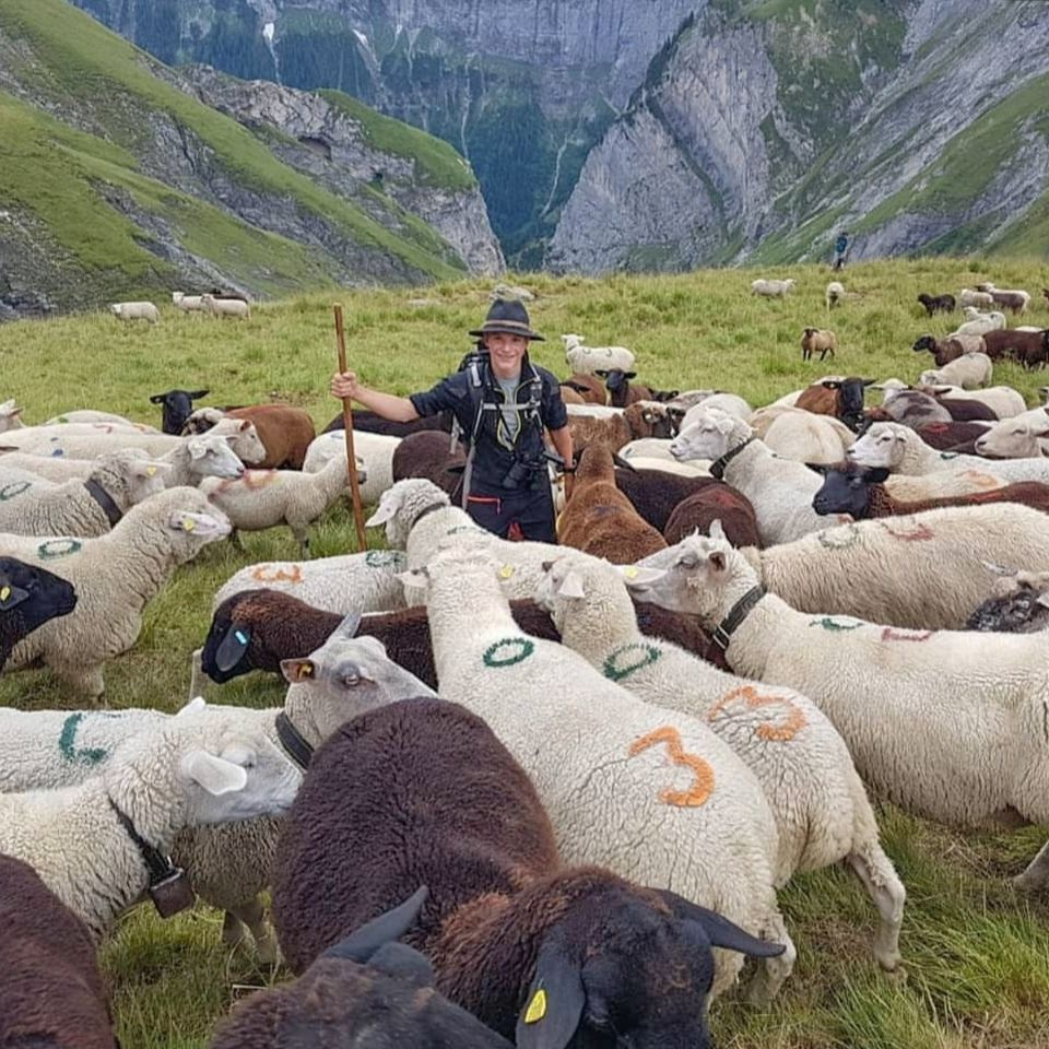 Allein unter Schafen: Moritz Florian als Hirte in den Schweizer Alpen