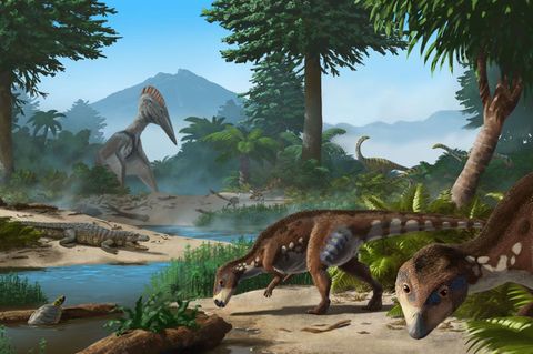 Schildkröten, Krokodile, riesige Flugsaurier und andere Zwerg-Dinosaurier an einem Flussufer