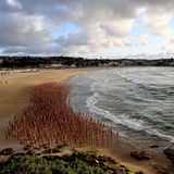 Australier posieren nackt am Strand von Sydney.