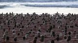 Australier posieren nackt am Strand von Sydney.