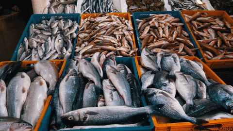"Gute Fische"-Liste: Diese Fische darf man noch bedenkenlos essen