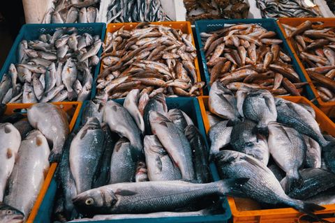 "Gute Fische"-Liste: Diese Fische darf man noch bedenkenlos essen