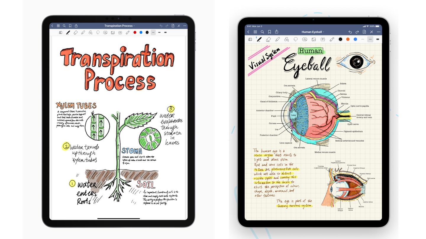 App Store Awards: Beste iPad-App des Jahres: Goodnotes 5 Qualität setzt sich durch - das sieht man am Beispiel "Goodnotes 5". Die umfangreiche Notiz-App ist nicht nur die beste iPad-App des Jahres - sondern auch die meistgeladene App für Apples Tablet in Deutschland (Hier finden Sie die ganze Liste). Die Basis-App ist kostenlos, Extra-Funktionen muss man aber bezahlen. Beste iPad-App des Jahres: Goodnotes 5 Qualität setzt sich durch - das sieht man am Beispiel "Goodnotes 5". Die umfangreiche Notiz-App ist nicht nur die beste iPad-App des Jahres - sondern auch die meistgeladene App für Apples Tablet in Deutschland (Hier finden Sie die ganze Liste). Die Basis-App ist kostenlos, Extra-Funktionen muss man aber bezahlen.