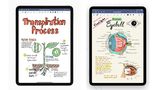 Beste iPad-App des Jahres: Goodnotes 5  Qualität setzt sich durch - das sieht man am Beispiel "Goodnotes 5". Die umfangreiche Notiz-App ist nicht nur die beste iPad-App des Jahres - sondern auch die meistgeladene App für Apples Tablet in Deutschland (Hier finden Sie die ganze Liste). Die Basis-App ist kostenlos, Extra-Funktionen muss man aber bezahlen.