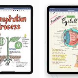 Beste iPad-App des Jahres: Goodnotes 5  Qualität setzt sich durch - das sieht man am Beispiel "Goodnotes 5". Die umfangreiche Notiz-App ist nicht nur die beste iPad-App des Jahres - sondern auch die meistgeladene App für Apples Tablet in Deutschland (Hier finden Sie die ganze Liste). Die Basis-App ist kostenlos, Extra-Funktionen muss man aber bezahlen.