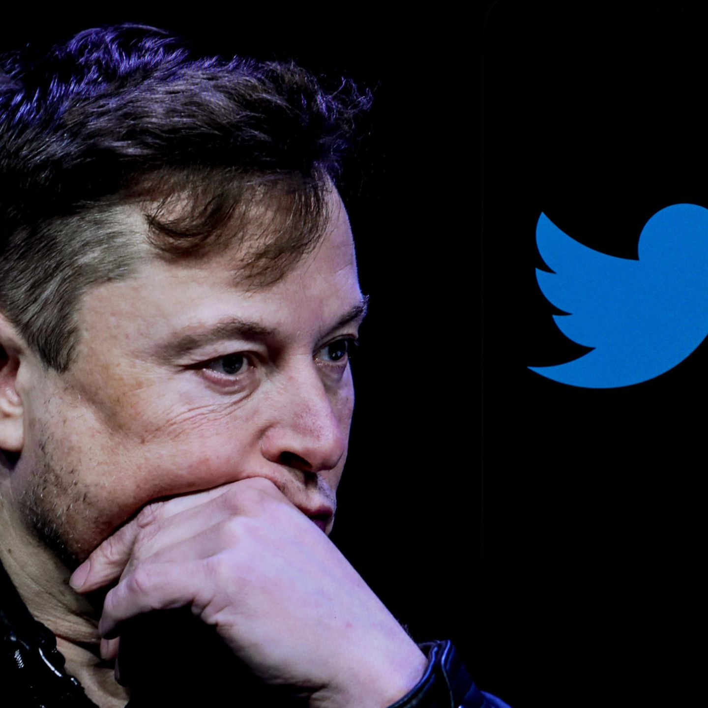 Twitter: Musk ignoriert Rücktritts-Abstimmung und wittert Verschwörung