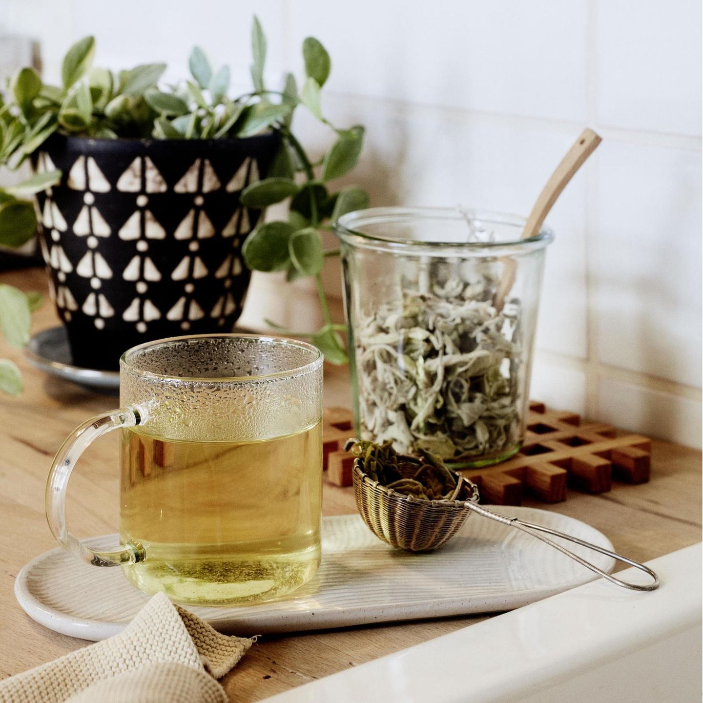 Hausmittel: Salbeitee gegen Halsschmerzen