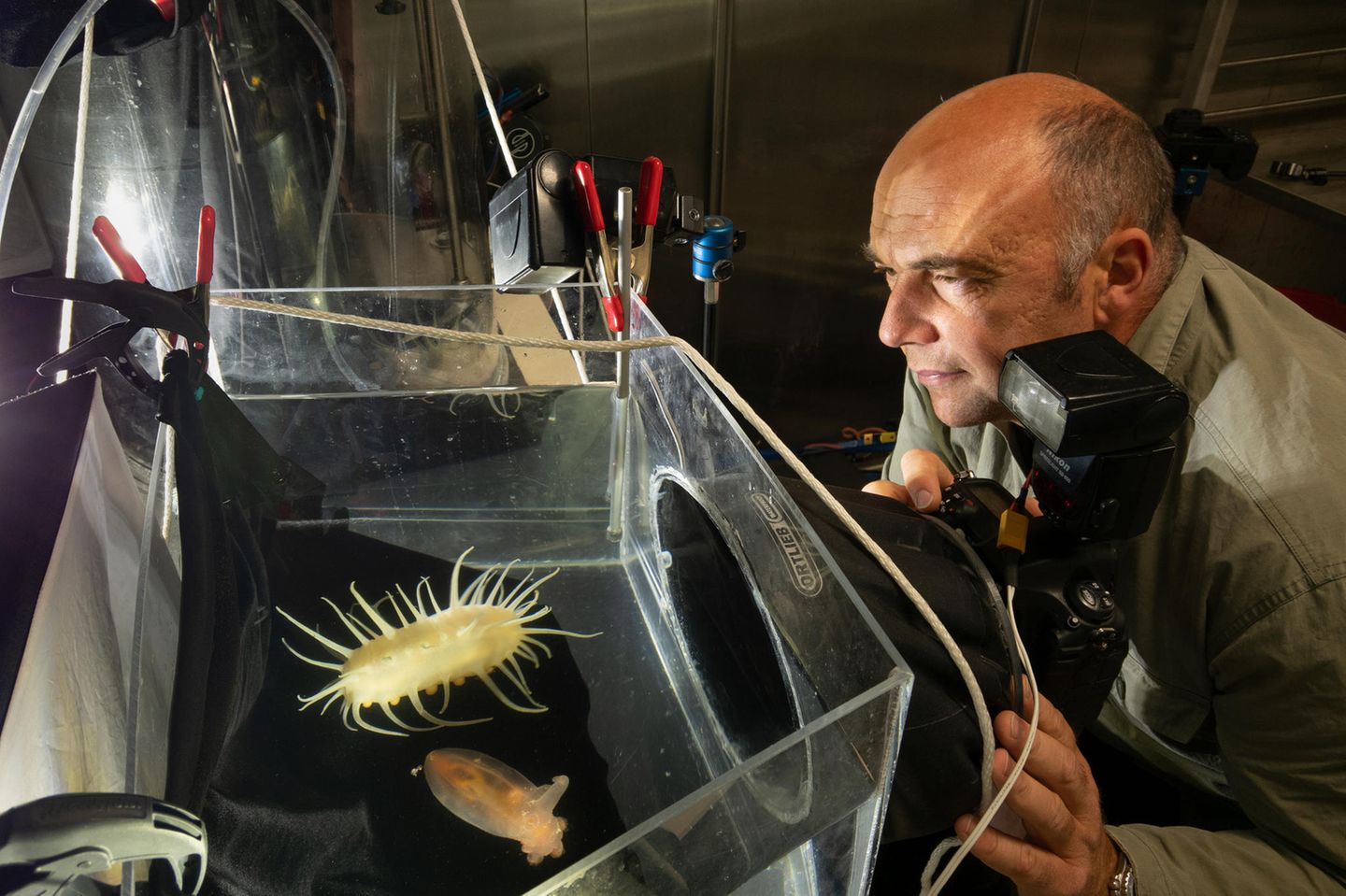 Fotograf Solvin Zankl vor Aquarium