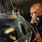 Fotograf Solvin Zankl vor Aquarium