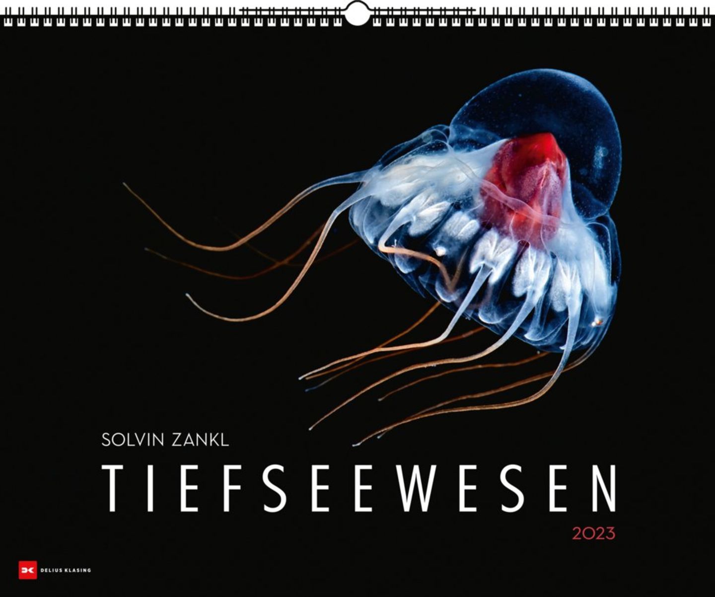 Kalender mit Tiefseetieren