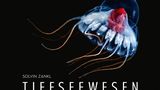 Kalender mit Tiefseetieren