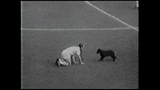 Jimmy Greaves
