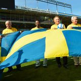 Brasilien Schweden Flagge