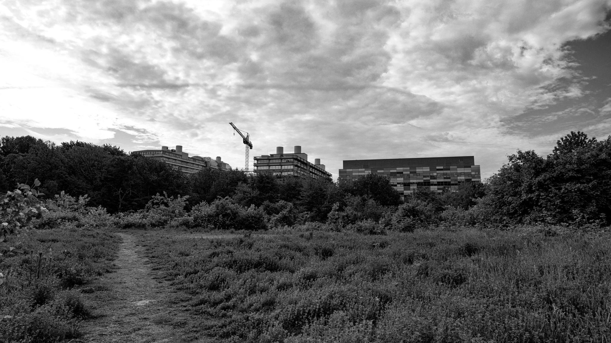 Ruhr-Universität Bochum