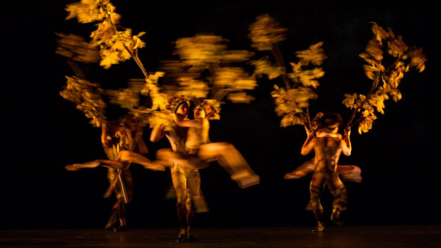 Mitglieder der Hamburger Modern Dance Company Momix tanzen die Szene "Trees".