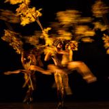 Mitglieder der Hamburger Modern Dance Company Momix tanzen die Szene "Trees".