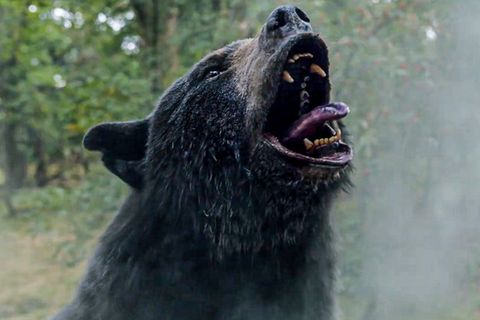 Ein Grizzly auf Koks: "Cocaine Bear" im völlig abgedrehten Trailer