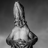 Leguan in aufrechter Position