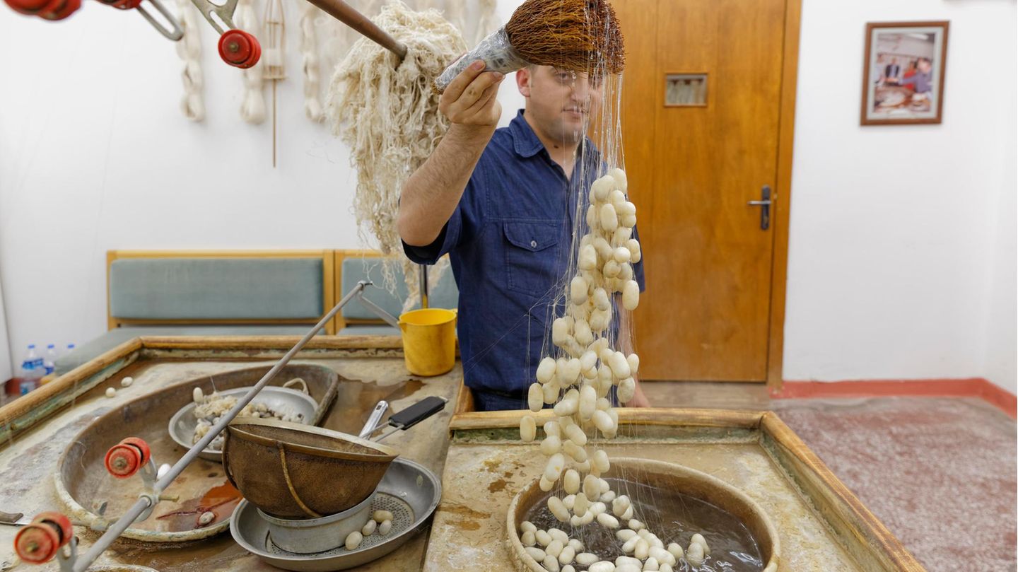 Serikultur im Nahen Osten Die Serikultur ist tief in der Großen Seidenstraße verwurzelt und bezeichnet den Prozess rund um die traditionelle Herstellung von Seide für die Weberei. Für die Seidenraupenzucht werden Maulbeerbäume angebaut, von deren Blättern sich die Larven ernähren, bevor sie ihre Seidenkokons spinnen. Anschließend werden die Fasern von den Kokons abgespult, zu Seidenfäden gesponnen, gereinigt und gefärbt. Aus den Fäden werden dann verschiedene Kunsthandwerksprodukte hergestellt, darunter Stoffe, Teppiche und Vorhänge. In Afghanistan, Iran, Tadschikistan, Türkei, Turkmenistan und Usbekistan gilt die Serikultur als Ausdruck kultureller Identität und jahrhundertealter Traditionen.