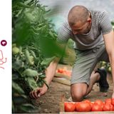 41 Prozent aller deutschen Firmen kennen die Förderung von Arbeitsplätzen für Menschen mit Behinderung nicht