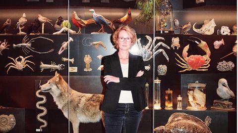 Katrin Böhning-Gaese