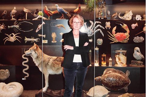 Katrin Böhning-Gaese