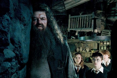 Robbie Coltrane als Hagrid
