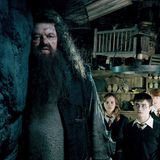Robbie Coltrane als Hagrid