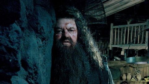 Robbie Coltrane als Hagrid