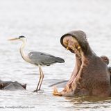 Happs und weg? Dieses Bild hat in der Kategorie "Luft" gewonnen.