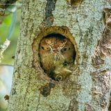"Da hinten, aber guck nicht zu auffällig!"