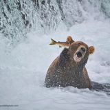 Moment, wer ist hier der Jäger und wer der Gejagte?