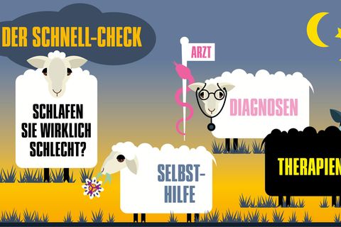 Eine Grafik mit Schafen zeigt die verschiedenen Schlaftherapien an