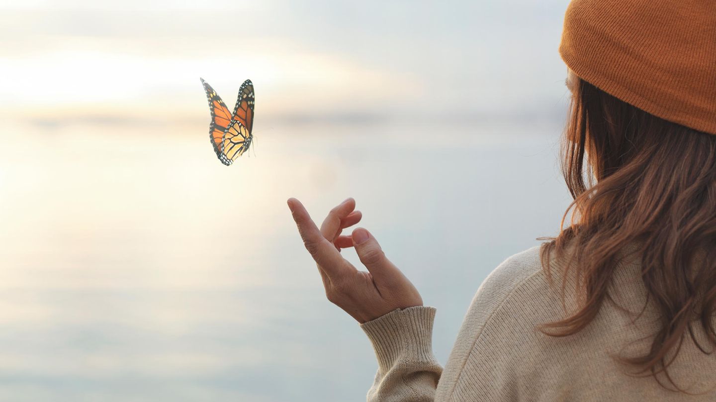 Eine Frau lässt einen Schmetterling auf ihrem Finger landen Eine Frau lässt einen Schmetterling auf ihrem Finger landen