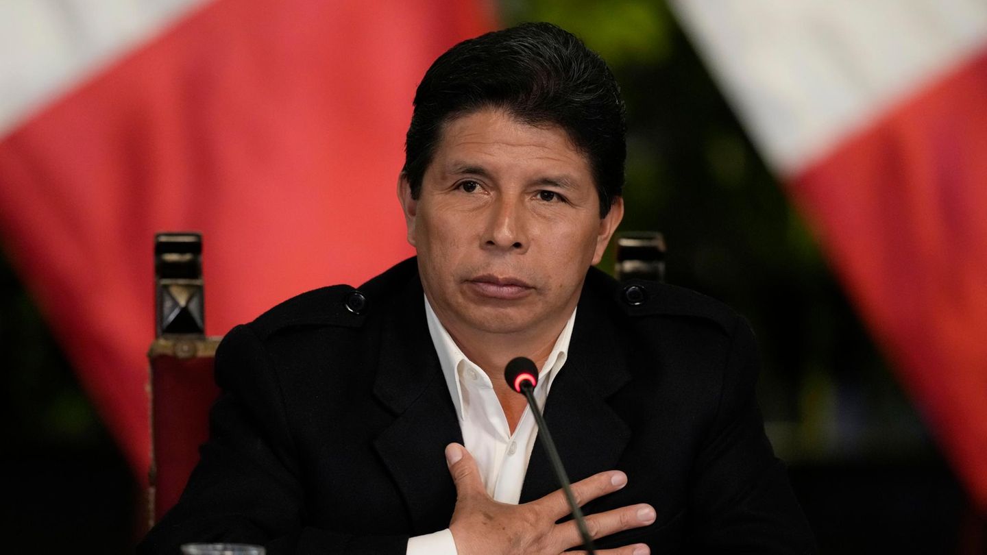 Pedro Castillo: Peru’s ex-president in custody