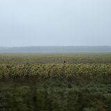 Im April 2022 zogen sich die russischen Truppen nach schweren Verlusten aus dem Oblast Sumy im Nordosten der Ukraine zurück. Doch die Kämpfe haben ihre Spuren hinterlassen, einige sichtbar, andere unsichtbar aber tödlich: zerstörte Häuser, Straßensperren – und verminte Felder wie dieses