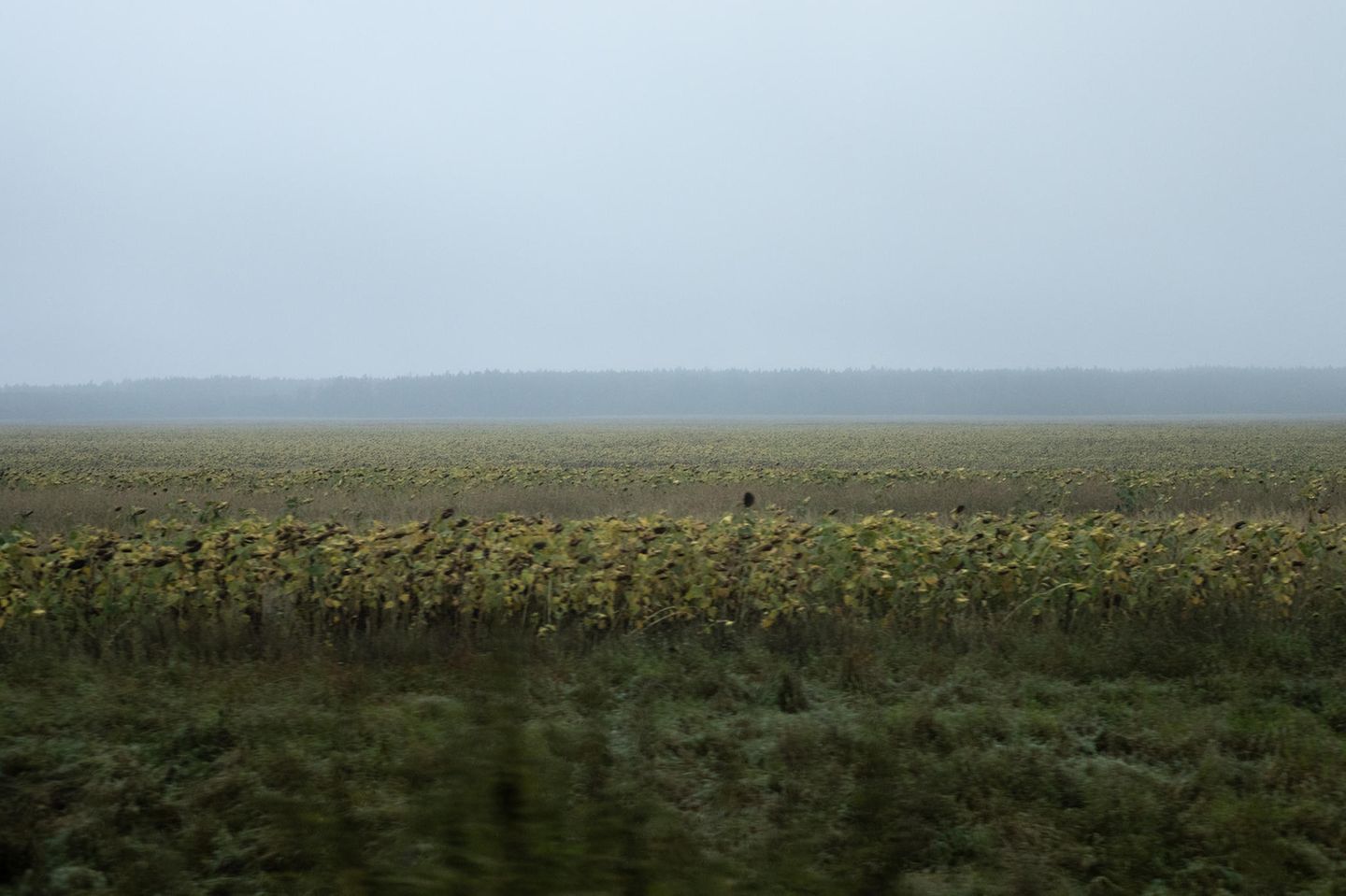 Im April 2022 zogen sich die russischen Truppen nach schweren Verlusten aus dem Oblast Sumy im Nordosten der Ukraine zurück. Doch die Kämpfe haben ihre Spuren hinterlassen, einige sichtbar, andere unsichtbar aber tödlich: zerstörte Häuser, Straßensperren – und verminte Felder wie dieses