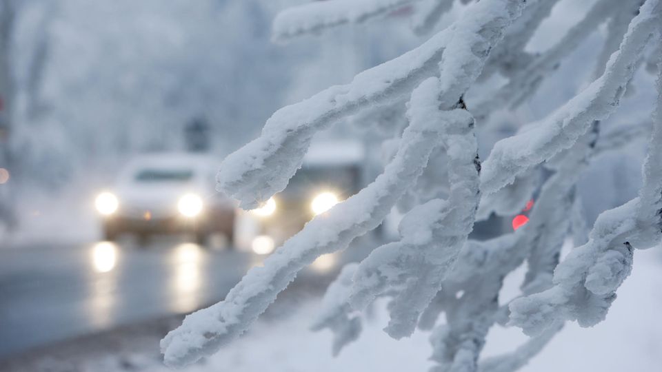Winterliches Wetter in Deutschland: Schnee liegt auf Zweigen eines Baums