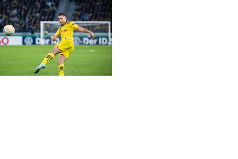 Raphael Guerreiro